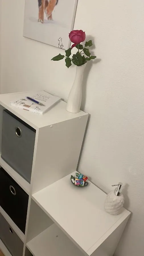 Apartment Ferienwohnung Toja Aletshausen